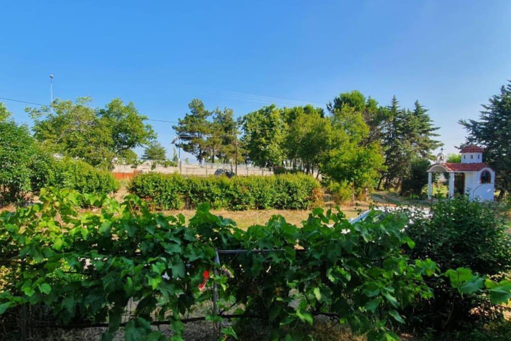 In Estate A1 Apartment Litochoro