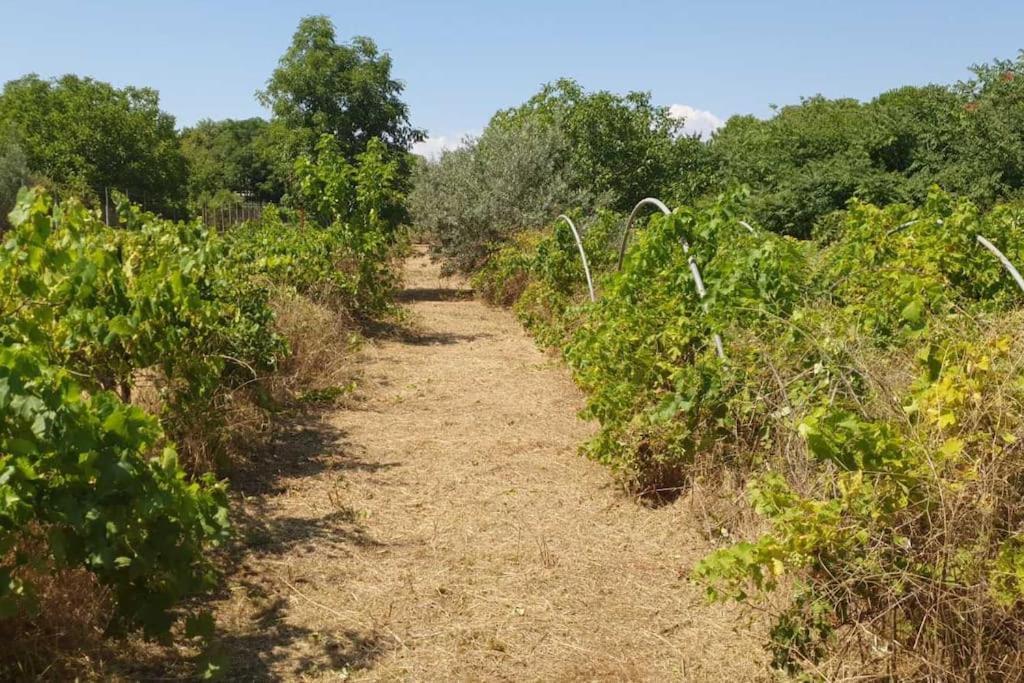 In Estate